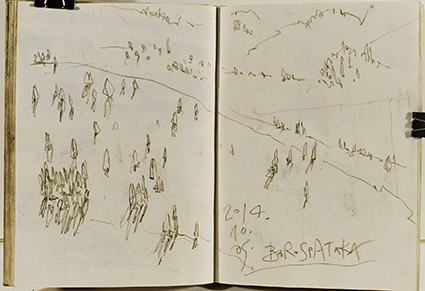 V7 31